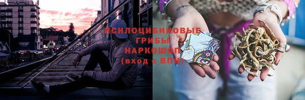 a pvp Алексеевка