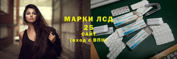 ГАЛЛЮЦИНОГЕННЫЕ ГРИБЫ Алексин