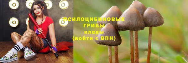 марихуана Аркадак