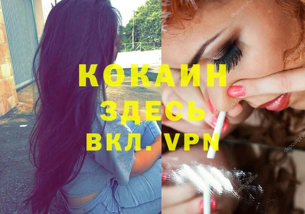 амф Алзамай