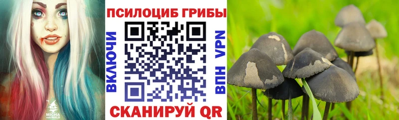 Галлюциногенные грибы ЛСД Кедровый
